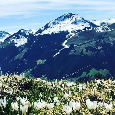 Appartement Sonnenschein Rebecca