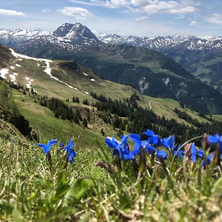 Lägenhet Sonnenschein Rebecca