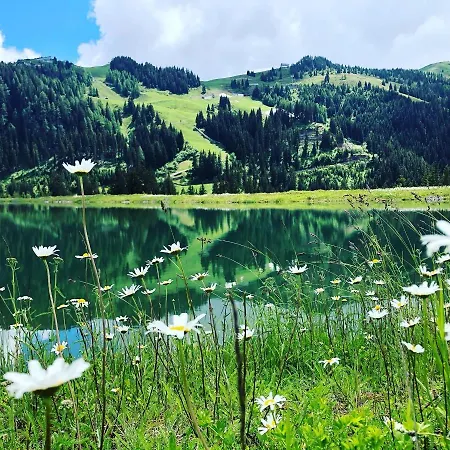 Lägenhet Sonnenschein Rebecca *