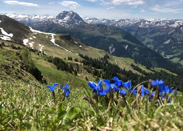 Apartment Sonnenschein Rebecca