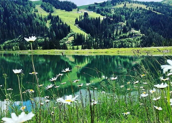 Apartment Sonnenschein Rebecca *